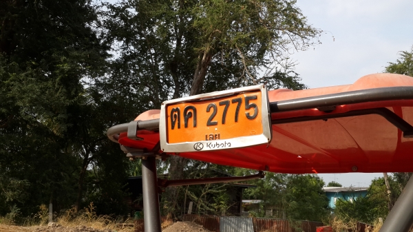 ขายผานตราช้าง สวยใบเต็ม 6x 24 25500-