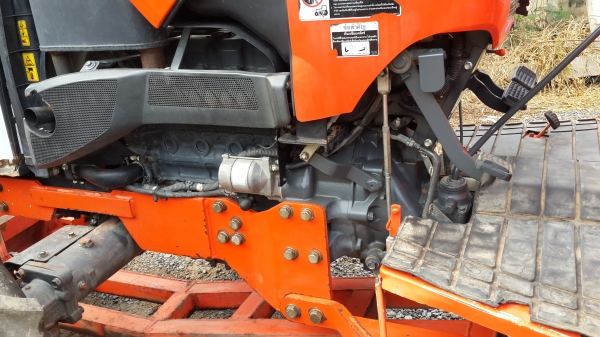 ขายผานตราช้าง สวยใบเต็ม 6x 24 25500-