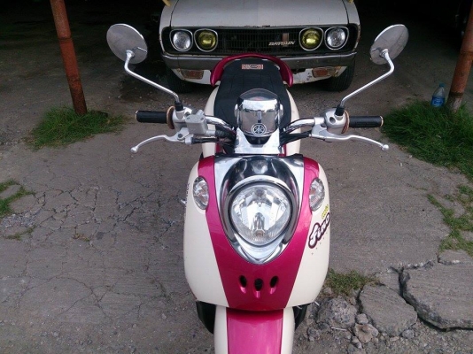 fino ปี52 ต่อรองได้ fino ปี52 ต่อรองได้