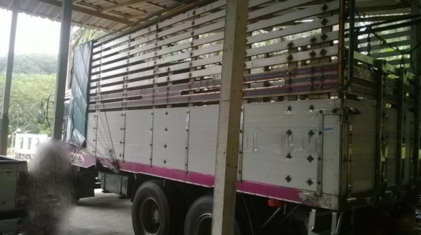 รถอีซูซุ 10 ล้อ หลังถนน 195 แรงม้า. ปี 41  สนใจติดต่อ 081 - 6079515