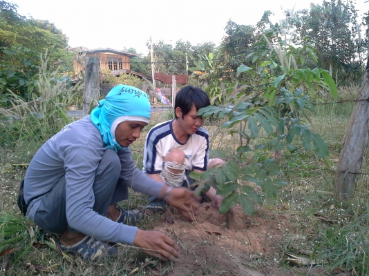 ขายที่ขุดหลุมมือถือ