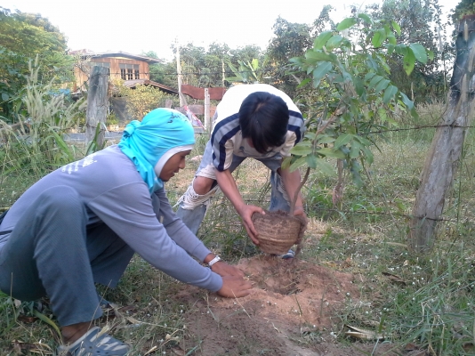 ขายที่ขุดหลุมมือถือ