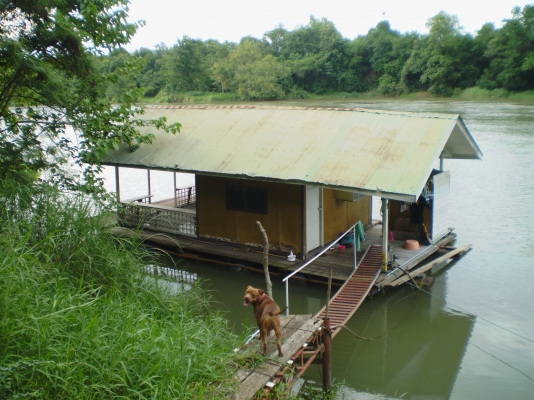 แพที่พัก เอาไปลากได้ ปรกติจอดอยู่ ไม่เคยลาก ต่อมาเลยรีบด่วน คุยง่ายให้ไม้อีกกอง แพที่พัก เอาไปลากได้ ปรกติจอดอยู่ ไม่เคยลาก ต่อมาเลยรีบด่วน คุยง่ายให้ไม้อีกกอง