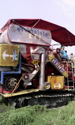 ขายเจ้าช้างใหญ่ ปี49