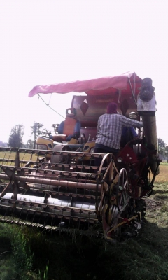 ขายเจ้าช้างใหญ่ ปี49