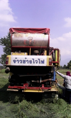 ขายเจ้าช้างใหญ่ ปี49