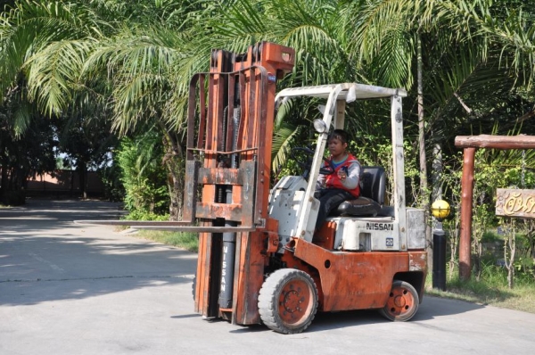 ขายFORKLIFT NISSAN2ตัน (ดีเซล เสาทรูฟรี้5เมตร) สภาพสวยเดิมจากญี่ปุ่นยังไม่เคยใช้านในไทย 149,000เท่านั้น!!!