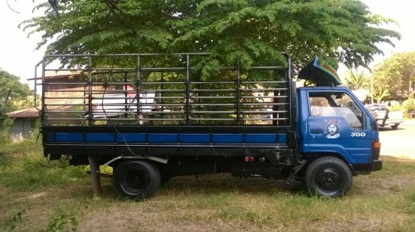 ขาย 6 ล้อ TOYOTA BU87 เครื่อง 14B 115 แรงม้า สภาพพร้อมใช้งาน เครื่องแน่นแรงดีมาก คอกแปปเหล็กพร้อมบรรทุก ทะเบียนพร้อมโอนครับ ขาย 6 ล้อ TOYOTA BU87 เครื่อง 14B 115 แรงม้า สภาพพร้อมใช้งาน เครื่องแน่นแรงดีมาก คอกแปปเหล็กพร้อมบรรทุก ทะเบียนพร้อมโอนครับ