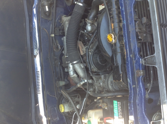 ขายม้ากระโดดวางคาน ขายม้ากระโดดวางคาน