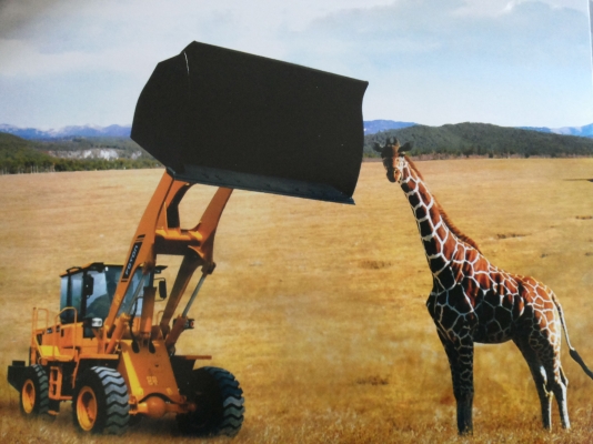 ขาย รถตักล้อยาง FOTON   พลังตักที่เเข็งแกร่ง ทำงานคล่องตัว ทนทาน  ราคาไม่แพง คุ้มค่ากับการลงทุน