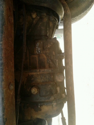 ขายทั้งชุด พร้อมหางปลา