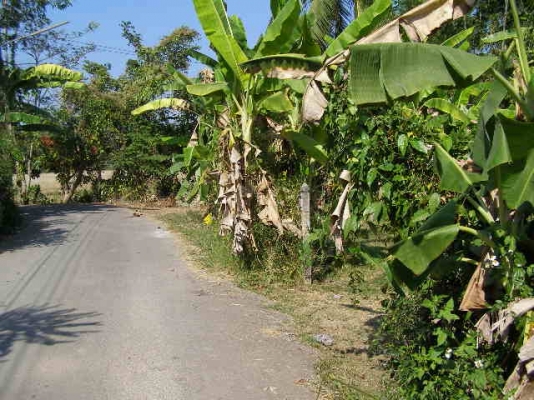 อยากมาอยู่เชียงใหม่เชิญทางนี้ครับ