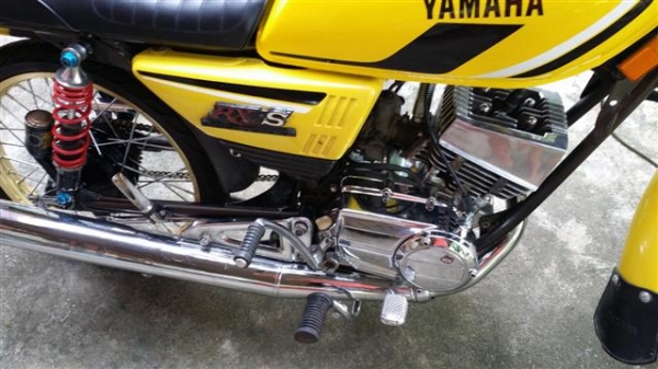 ขายrxs ขายrxs