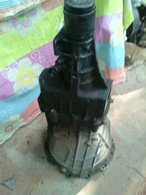 ขายเกียร์ ISUZU TFR มังกรทอง ดราก้อนอาย ขายเกียร์ ISUZU TFR มังกรทอง ดราก้อนอาย