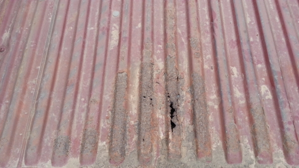 ลูกกระบะ ฟรอนเทียร์ ตัวแรกตาลึก ตอนเดียว ลูกกระบะ ฟรอนเทียร์ ตัวแรกตาลึก ตอนเดียว