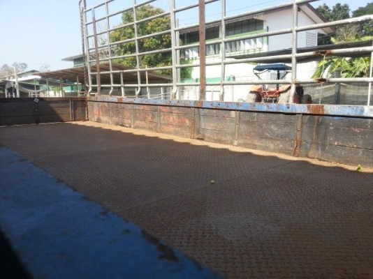 ลดกระหน่ำ ต้อนรัปปีใหม่ หกล้อ  Izusu 100 แรงรถประกอบ ยาว 5 เมตร พวงลัยเพาเวอร์