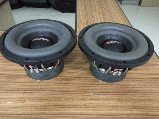 ซับ 10 นื้ว AQ-1096