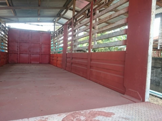 ขาย รถ 6 ล้อใหญ่