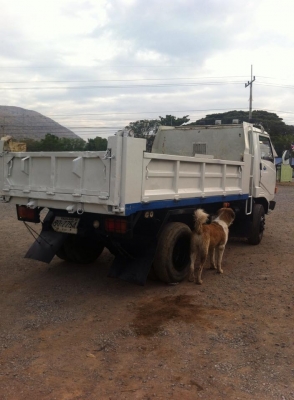 ขายหกล้อดั้มFB เครื่องWO4D พวงมาลัยพาวเวอร์ แอร์เย็นฉ่ำ ช่างล่างใหญ่หน้าหลังF มีสโล คัสซีสวยไม่มีปะดาม ดั้มยิงหน้า กระบะยาว3.60เมตร กว้าง2.10เมตร ทะเบียนพร้อมโอน