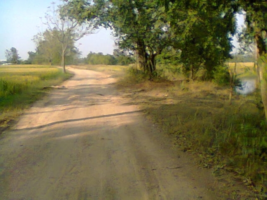 ขายที่นา12ไร่ (นาปี) มีบ่อนํ้าด้วย ไร่280,000บาท