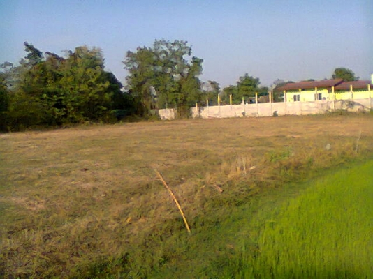 ขายที่นา 24 ไร่ๆละ420,000บาทมีนํ้าทั้งปีมีบ่อใหญ่ (แบ่งได้ครับ)