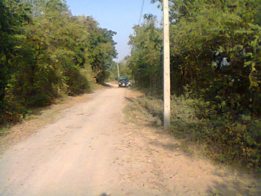 ขายที่นา 24 ไร่ๆละ420,000บาทมีนํ้าทั้งปีมีบ่อใหญ่ (แบ่งได้ครับ)