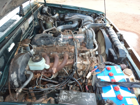 ขายครับ 79,000บาท ไมตี้เอ็ก เเค็ป ขายครับ 79,000บาท ไมตี้เอ็ก เเค็ป