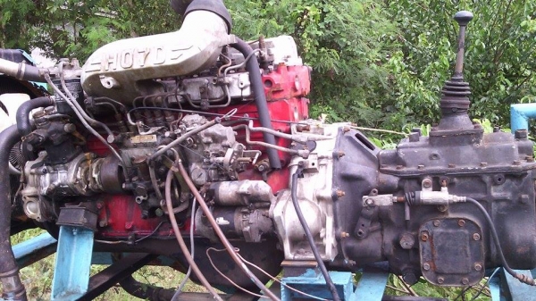 ขายho7d ข้อstd