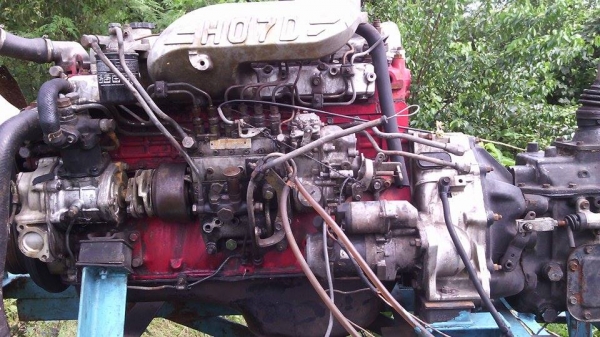 ขายho7d ข้อstd