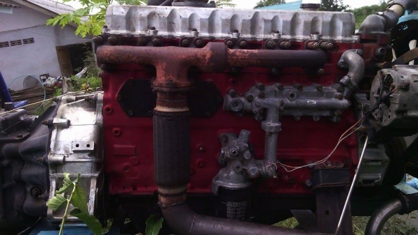 ขายho7d ข้อstd