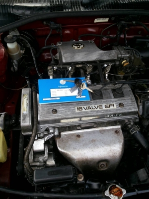 ขายท้ายโด่งปี95เกียรออโต้1.6สวยๆมือเดียวออกห้างไม่เคยติดแก๊สไม่ใช่แท็กซี่ถอดป้าย75000บาท