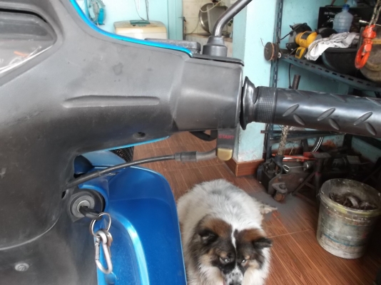 ฮอนด้าเวฟ100 สตาร์ทมือ ปี47 19500 ฮอนด้าเวฟ100 สตาร์ทมือ ปี47 19500