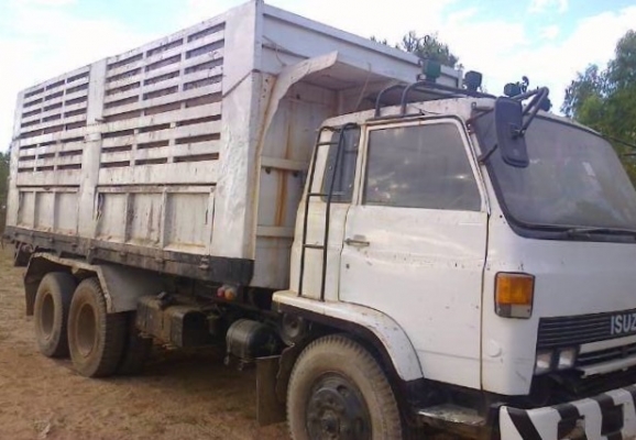 ISUZU JCM 195 HP 6HE1 สิบล้อดั๊มพ์เพลาเดียว กระบะดั๊มพ์เหล็กคอกสูงเกษตรความยาว 6.20 เมตรพร้อมบรรทุกหนักได้เลย เครื่องยนต์ 195 แรงแน่นดีไม่มีเยิ้มลงเล่มครบ ภายในเก๋งคอนโซลอยู่ครบไม่ผุ พวงมาลัยเพาเวอร์ ช่วงล่างเดิมๆคัชซีไม่มีบวม ยางสภาพดีประมาณ 60\% เอกสารทะ