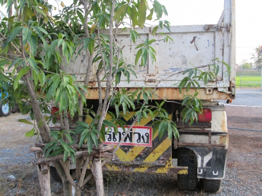 ลูกพ่วง-ดั้ม2คาน-ต่ออู่พนัส-สภาพสวยพร้อมใช้-ราคา-295,000-