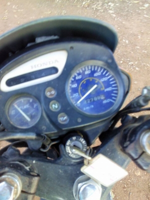 เทน่าปี42