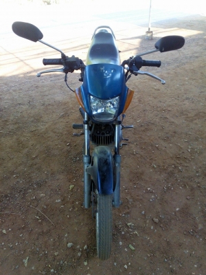 เทน่าปี42