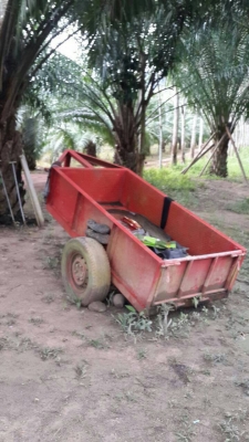 รถไถนา ยันม่า (รถนอก) 25แรงม้ามีดันหน้า ผานตัดหญ้า เทเลอร์ลาก