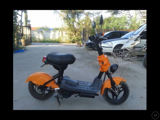 Choi nori ss50cc.