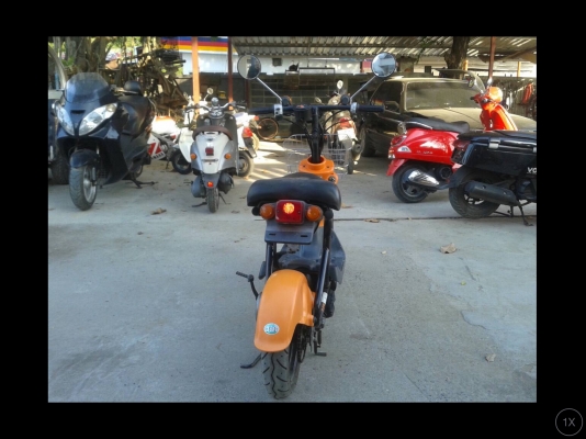Choi nori ss50cc.