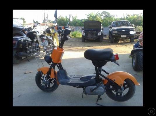 Choi nori ss50cc.
