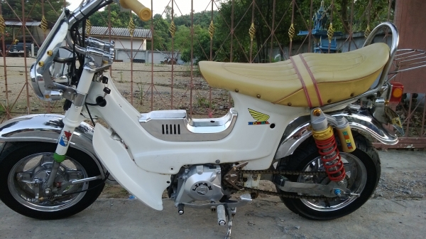 Chaly Angle