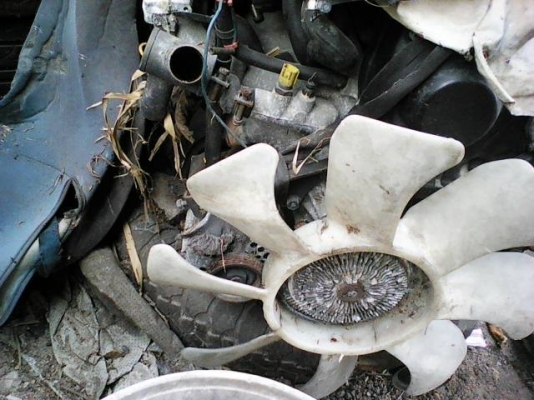 ขายใดชาต RB 20  1000