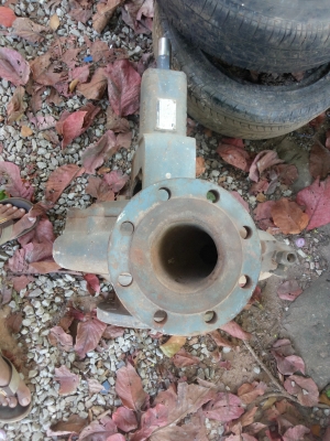 ขายปั๊มน้ำ4นิ้ว