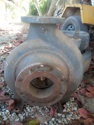 ขายปั๊มน้ำ4นิ้ว