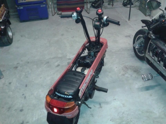 Honda motocompo50cc. Honda motocompo50cc.