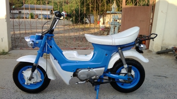 น้องฟ้าชาลี