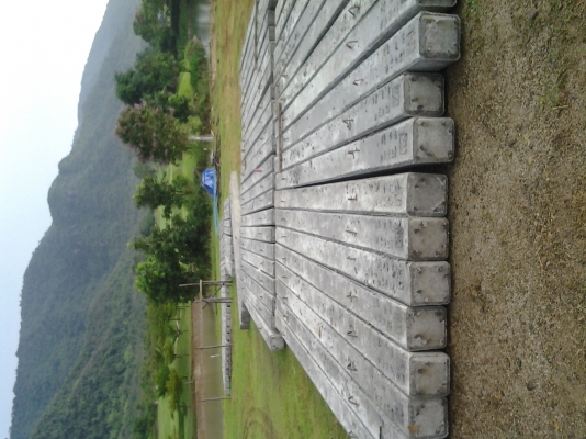 085-7666984 รับตอกเสาเข็มปากช่องพร้อมเสาเข็มครบวงจร