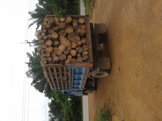 ขายรถบรรทุก6ล้อดั้ม