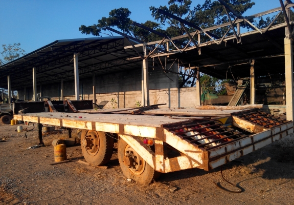 ขายหางโลเบท