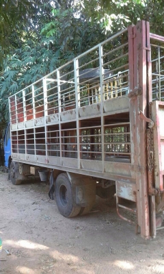 หกล้อ ISUZU NPR130โบว์ รถห้างปี48 รถบรรทุกหมูค็อกเลส2ชั้นท้ายรีปไฮโรลิกค์ สภาพดีพร้อมใช้งาน ทะเบึยนพร้อมโอน